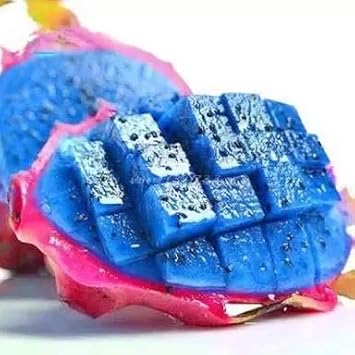 Fresh Pitaya Fruit Seeds Easy to Grow Blue 100 pcs